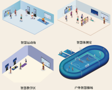 它不只是健康本质